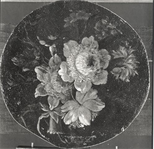 Hobbs, Sherley — Flower piece. Italian, 18th century — insieme